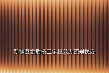 新疆鑫金盾技工学校公办还是民办