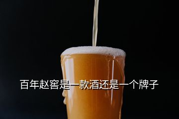 百年赵窖是一款酒还是一个牌子