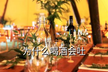 为什么喝酒会吐