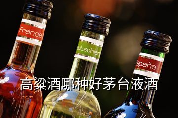 高粱酒哪种好茅台液酒