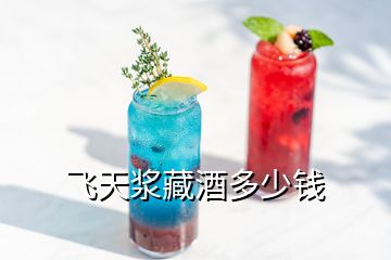 飞天浆藏酒多少钱