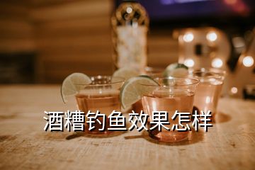 酒糟钓鱼效果怎样