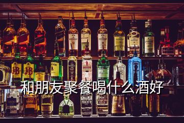 和朋友聚餐喝什么酒好