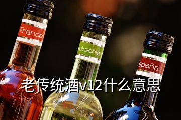 老传统酒v12什么意思