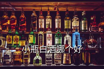 小瓶白酒哪个好