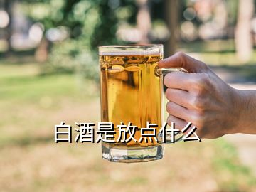 白酒是放点什么