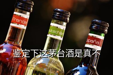 鉴定下这茅台酒是真不