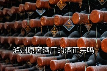 泸州原窖酒厂的酒正宗吗