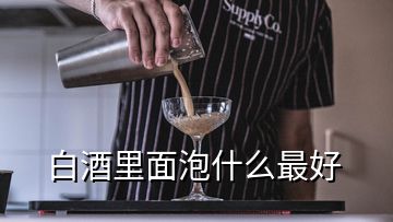 白酒里面泡什么最好