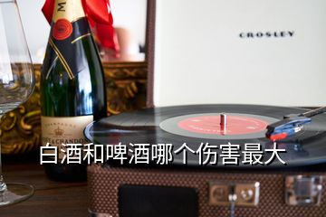 白酒和啤酒哪个伤害最大