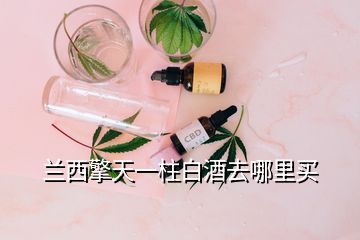 兰西擎天一柱白酒去哪里买