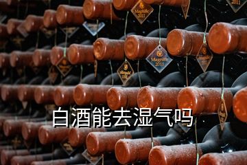 白酒能去湿气吗