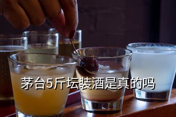 茅台5斤坛装酒是真的吗