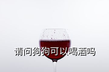 请问狗狗可以喝酒吗