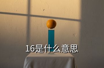 16是什么意思