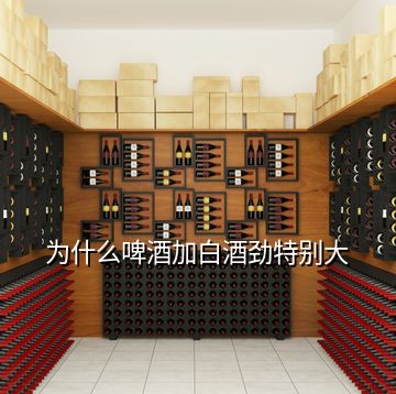 为什么啤酒加白酒劲特别大