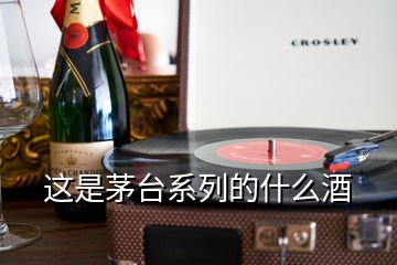 这是茅台系列的什么酒