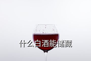 什么白酒能储藏