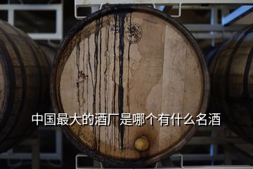 中国最大的酒厂是哪个有什么名酒