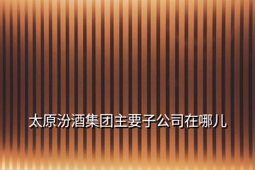 太原汾酒集团主要子公司在哪儿