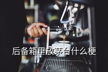 后备箱里放茅台什么梗