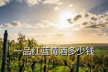 一品红蓝莓酒多少钱