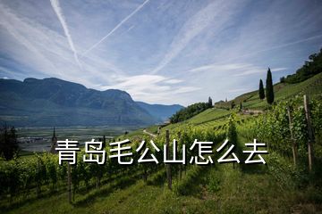 青岛毛公山怎么去