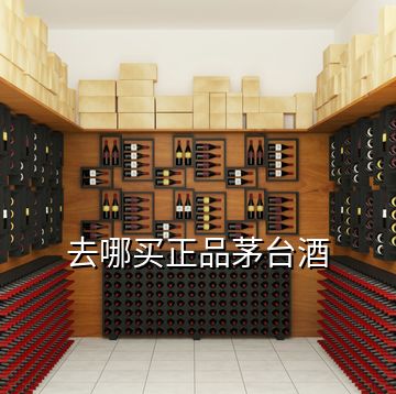 去哪买正品茅台酒