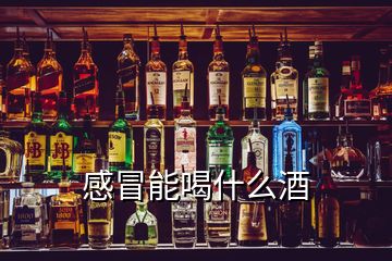 感冒能喝什么酒