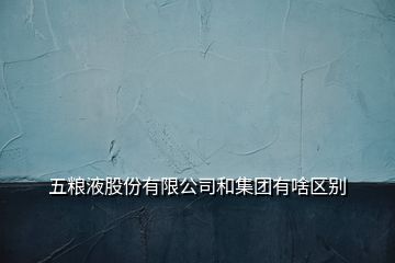 五粮液股份有限公司和集团有啥区别