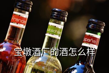 宝墩酒厂的酒怎么样