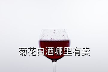 菊花白酒哪里有卖