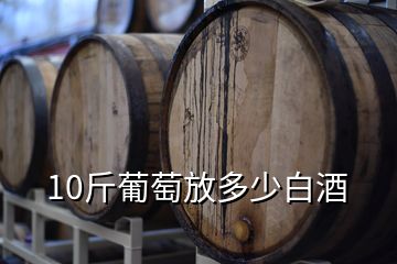 10斤葡萄放多少白酒