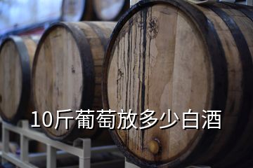 10斤葡萄放多少白酒