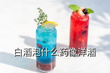 白酒泡什么药像洋酒