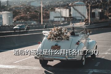 酒后的感觉是什么拜托各位了 3Q