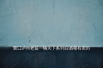 营口泸州老窖一桶天下系列白酒哪有卖的