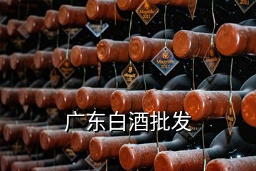 广东白酒批发