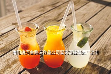 南阳唐河金路达食品公司蜜来富蜂蜜酒厂上市