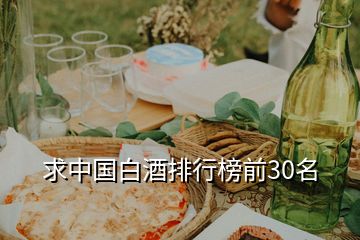 求中国白酒排行榜前30名