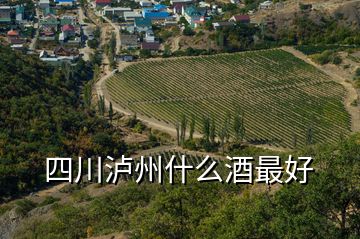 四川泸州什么酒最好