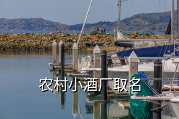 农村小酒厂取名