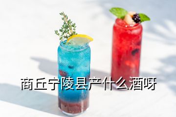 商丘宁陵县产什么酒呀