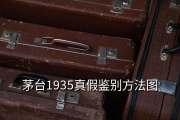 茅台1935真假鉴别方法图