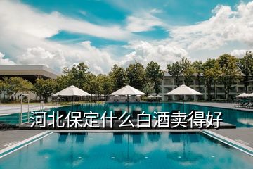 河北保定什么白酒卖得好