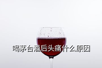 喝茅台酒后头痛什么原因