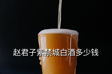 赵君子紫禁城白酒多少钱
