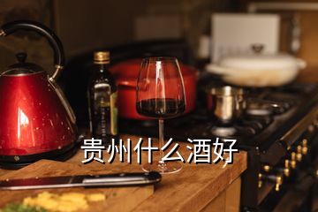 贵州什么酒好