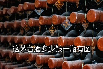 这茅台酒多少钱一瓶有图