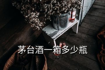 茅台酒一箱多少瓶